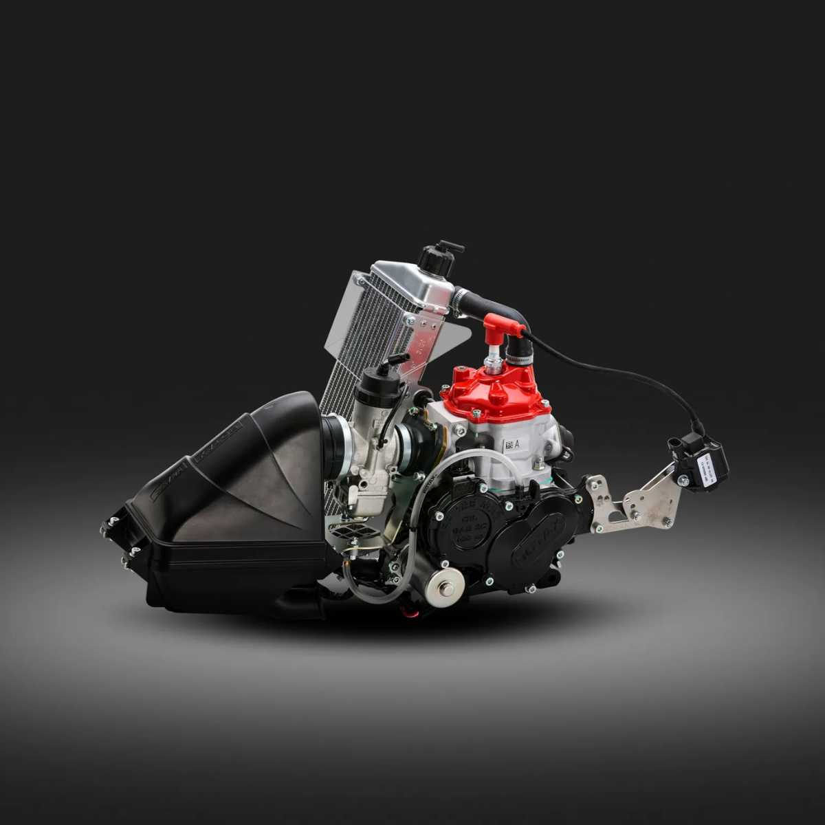 Rotax Junior MAX EVO kart racing engine used in Rotax Junior category