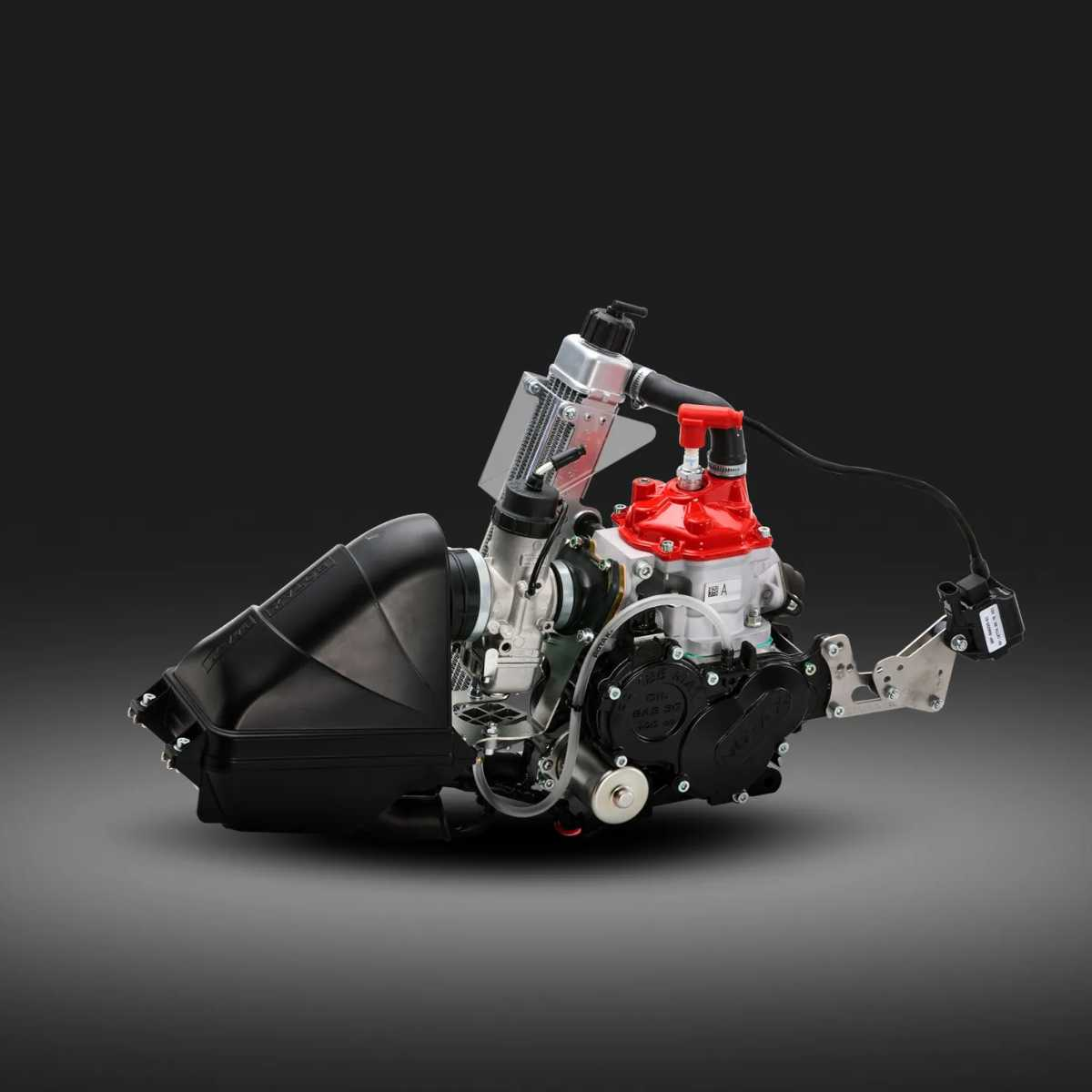 Rotax Mini MAX EVO kart racing engine used in Mini and Mmicro kart category
